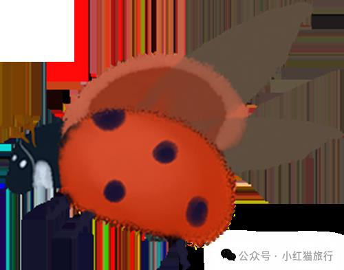 DƬ